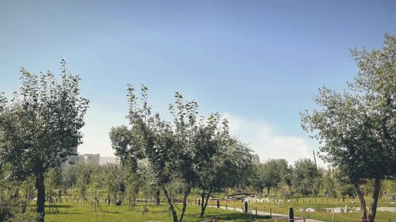 Urban Green Spaces – Small parks(3)