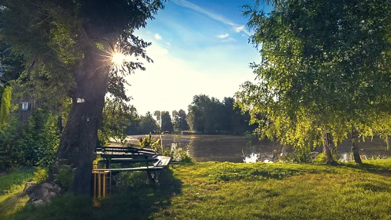 Urban Parks(6)