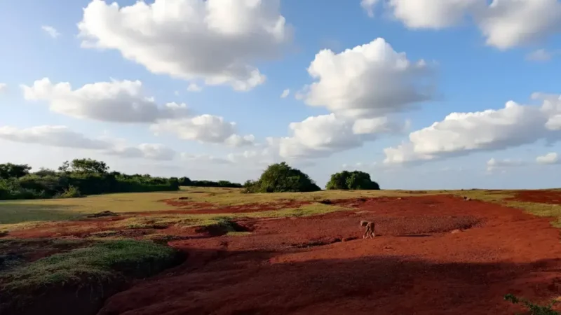 Ussangoda National Park 03