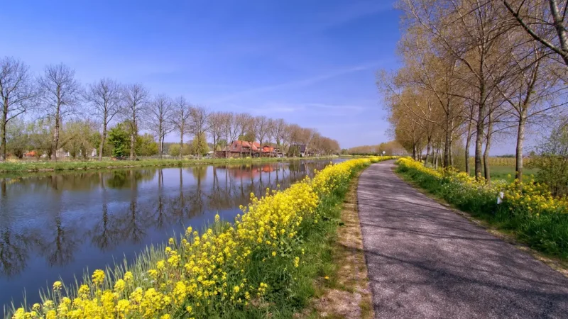 Vaartse_Rijn_Canal_Walk_тАУ_Scenic_canal-side_route_connecting_Nieuwegein_to_Utrecht__01