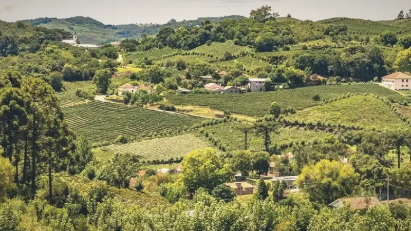 Vale dos Vinhedos – Famous wine valley(4)
