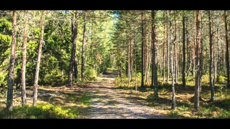 Valla Recreation Area(4)
