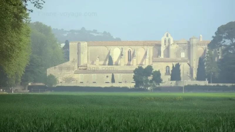 Valmagne Abbey(5)