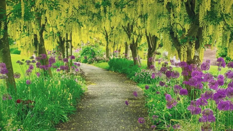 VanDusen Botanical Garden(4)