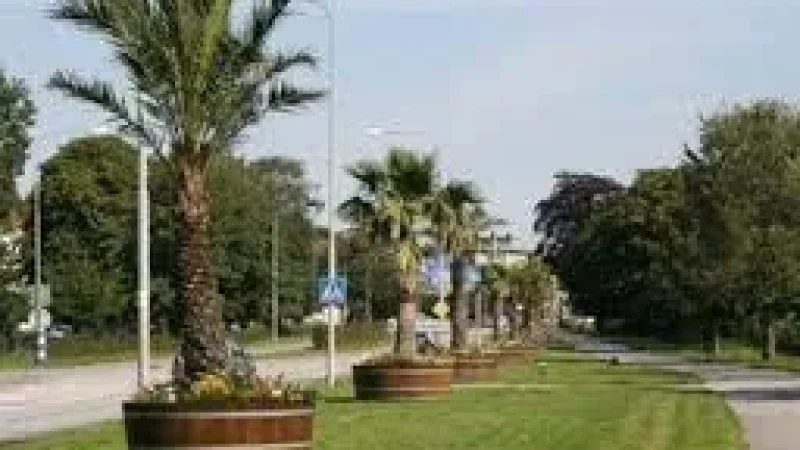 Velden Promenade – Elegant lakeside walkway(4)
