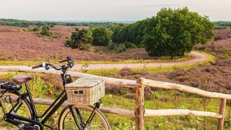 Veluwe_Zoom_Cycling_Routes_01
