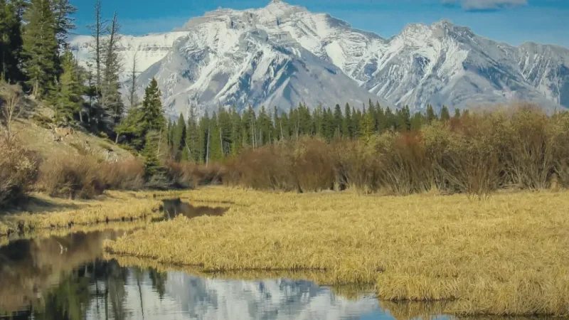 Vermilion Lakes – Reflections(5)