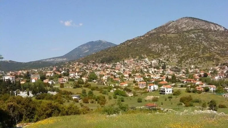 Vilia_01