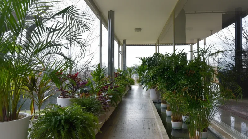 Villa Tugendhat – UNESCO modernist villa(2)