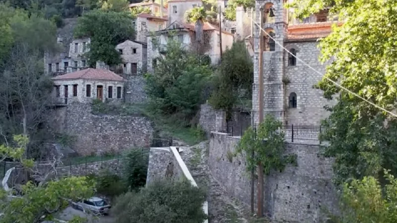 Viniani_02