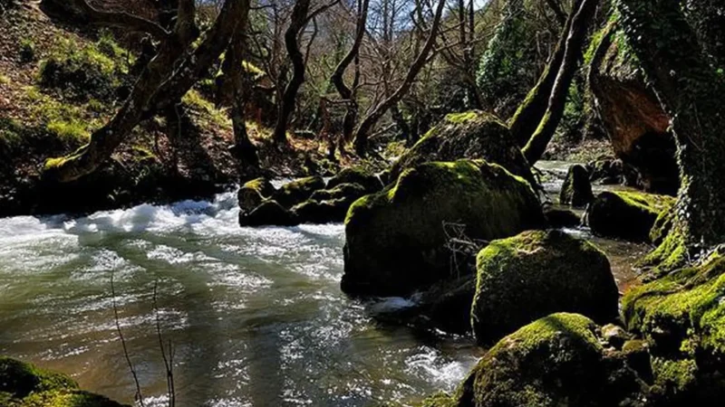 Vouraikos_Gorge_03