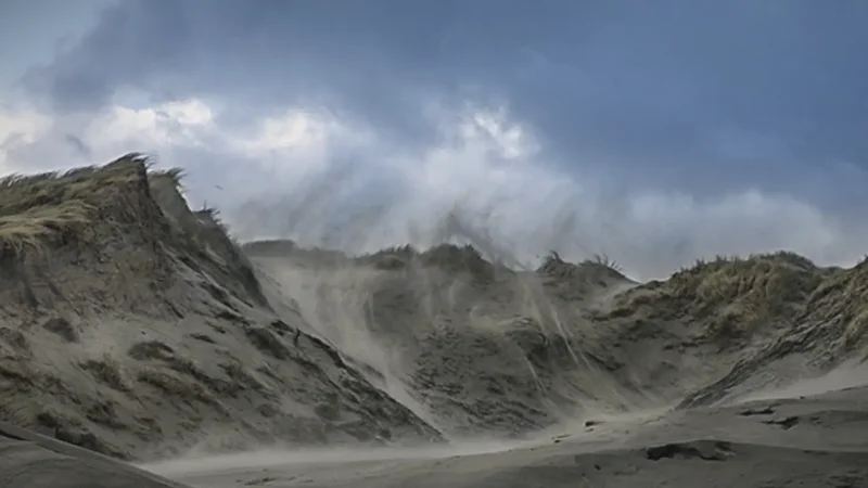 Wadden Sea National Park – UNESCO-listed tidal landscape(2)