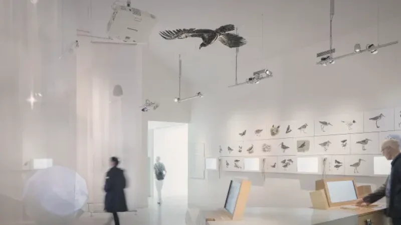 Wadden Sea Visitor Center – Nature & history exhibits(3)