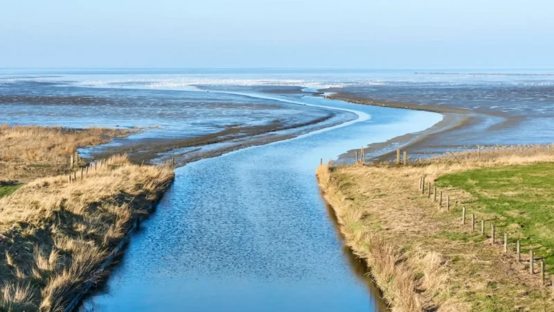 Wadden_Sea_Coast_(Nearby)_03