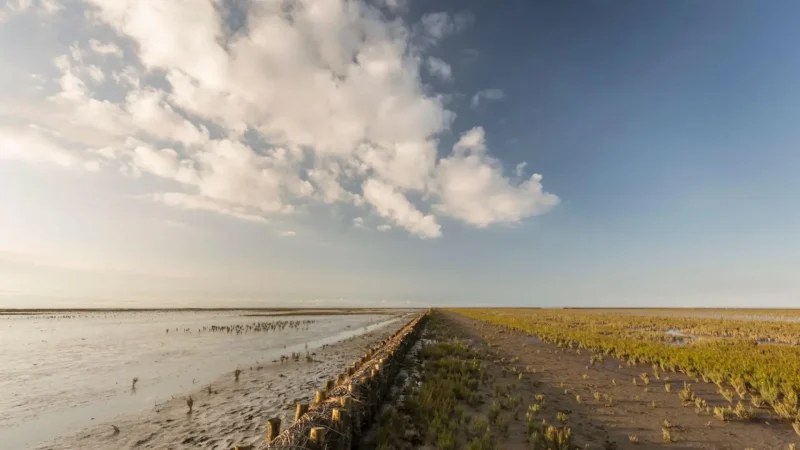 Wadden_Sea_Coastline_01