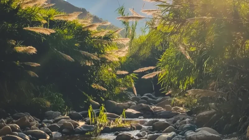 Wadi Wurayah National Park (1)