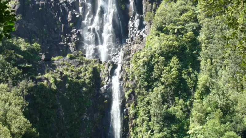 Wairere_Falls_(Nearby)_05