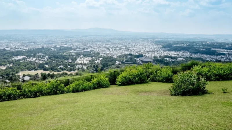 Wakakusa Mountain(4)