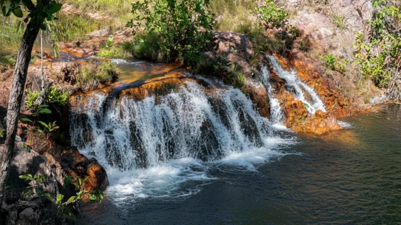 Walker Creek – Quiet swimming area(1)