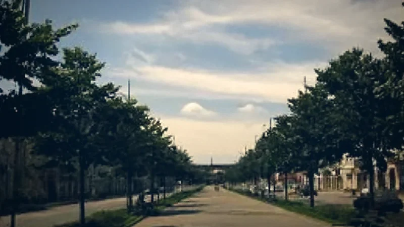 Walking Boulevards(4)