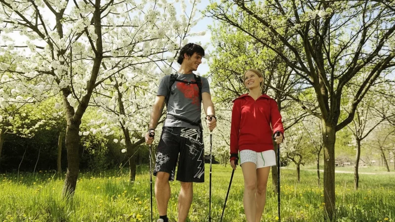 Walking Paths – Easy town routes(2)