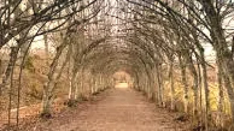 Walking Trails Around Town(5)