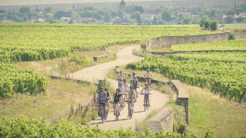 Walking Trails – Vineyard walks(2)