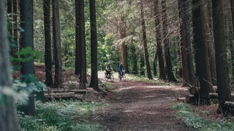 Walking Trails(4)