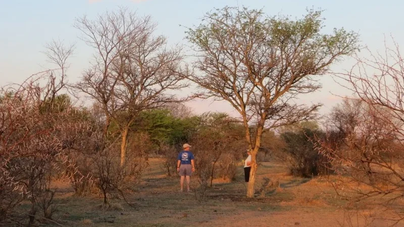 Walking-bushveld-Waterberg