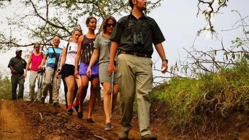 Walking_Safari_Zones_тАУ_Controlled_nature_walks_02