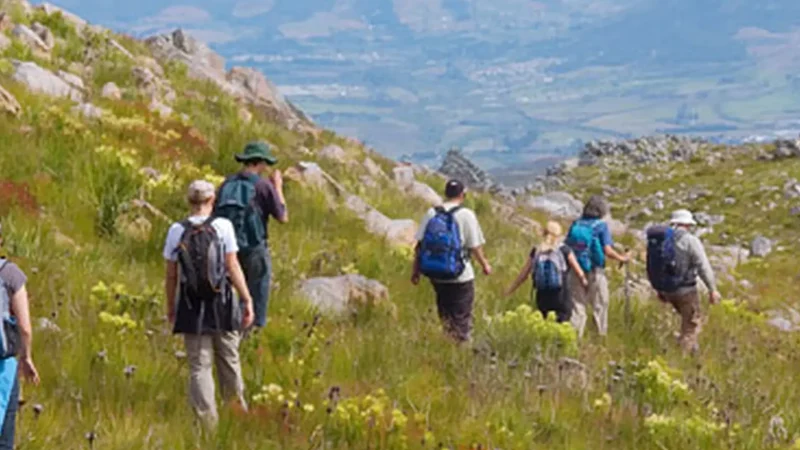 Walking_Trails_тАУ_Controlled_nature_walks_04
