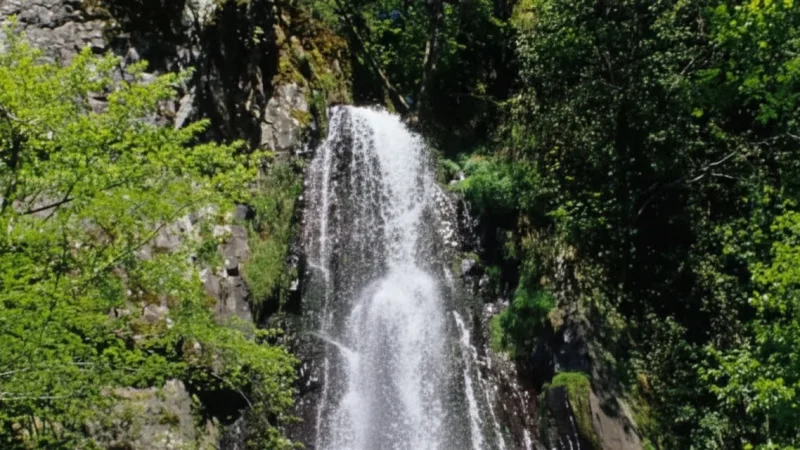 Wangenbourg-Engenthal – Mountain Scenery(6)