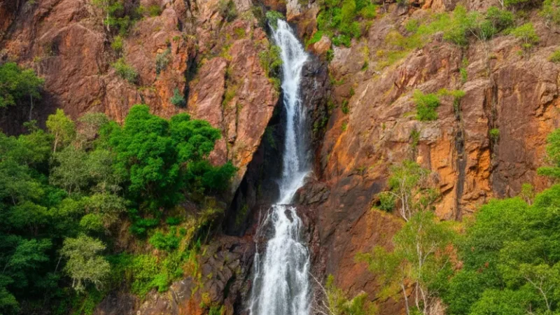 Wangi Falls – Large plunge pool surrounded by forest(4)