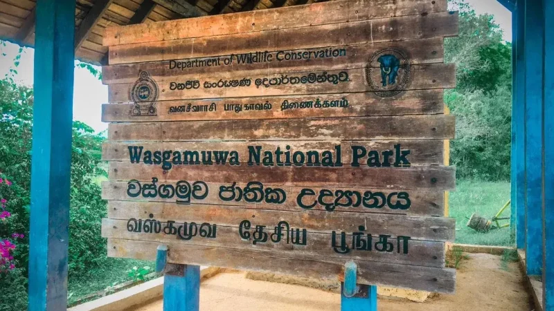 Wasgamuwa National Park (Matale Border)3