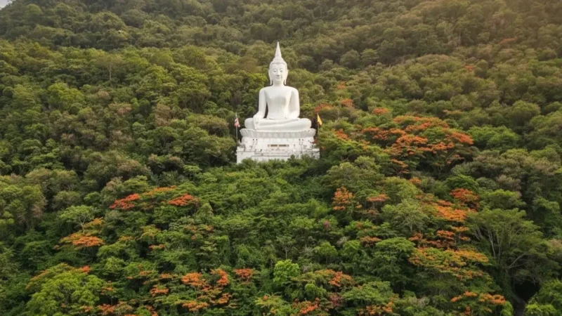Wat Thep Phithak Punnaram(1)