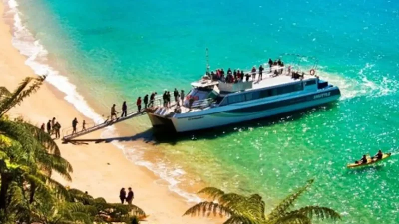 Water_Taxi_Services_тАУ_Coastal_Transport_02