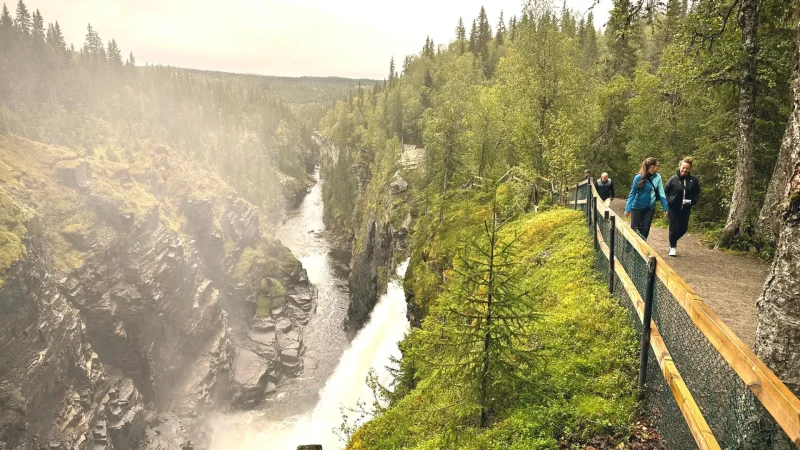 Waterfall Viewing Areas(1)