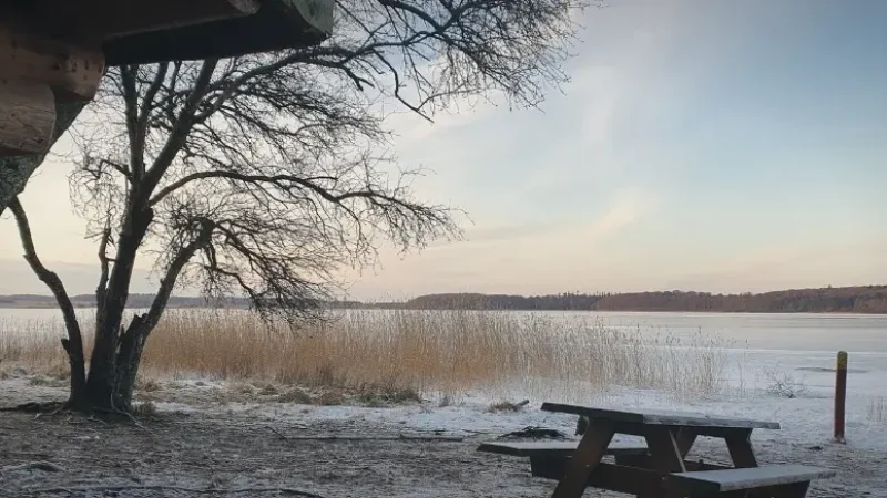 Waterfront Picnic Areas – Relaxed rest spots(3)