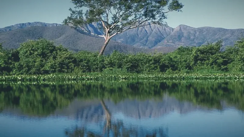 Wetland Floodplains – Seasonal landscapes(6)
