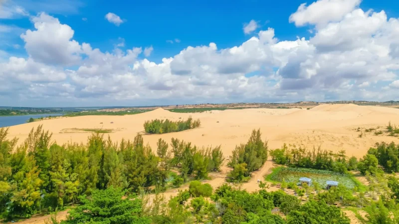 White Sand Dunes – A bright desert landscape near the coast(4)