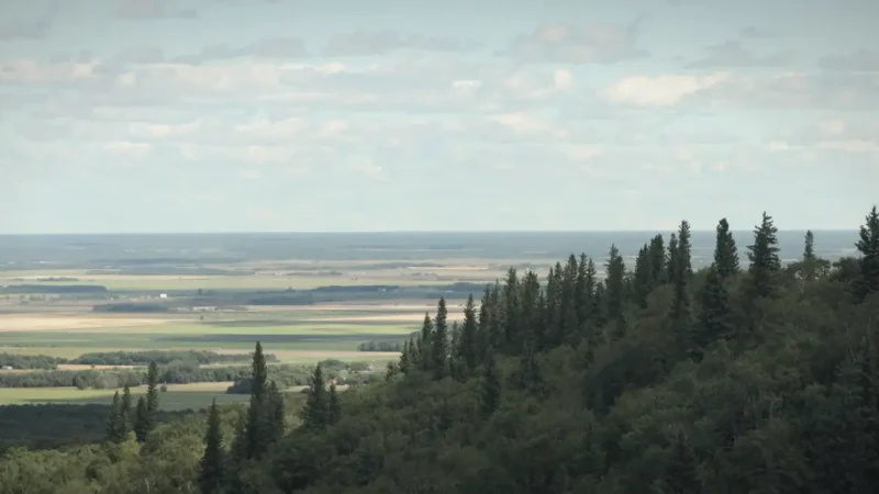 Wildlife Observation Areas – Bison and deer sightings(4)