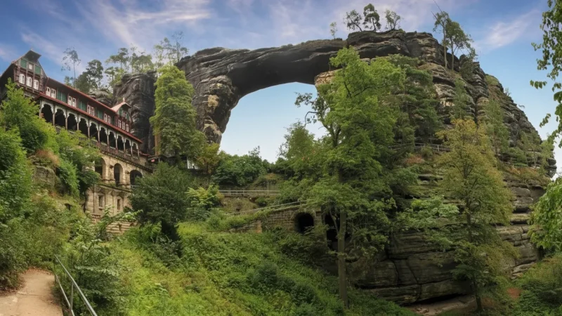 Wildlife Observation Areas – Natural habitats(5)