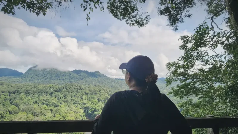 Wildlife Observation Decks(4)