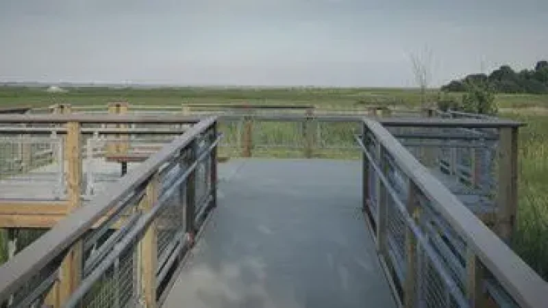 Wildlife Observation Decks(5)