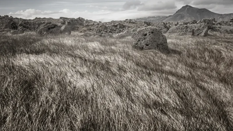 Wind-Swept Grasslands(4)