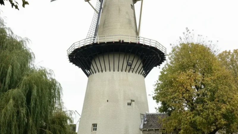 Windmill Are(1)