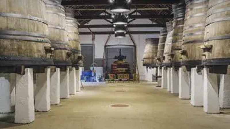 Wine Museum of Alcobaça – Wine history(1)