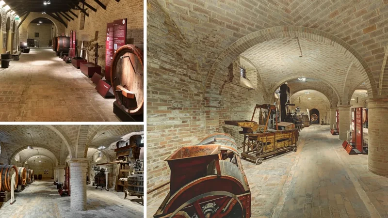 Wine Museum – Regional wine history(5)