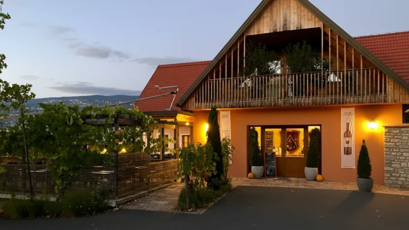 Wine Taverns (Buschenschank) – Local Dining Spots(2)