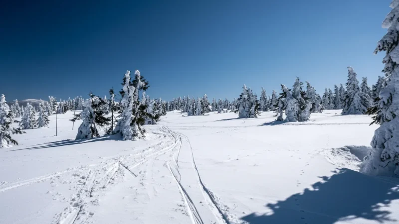 Winter Ski Areas – Seasonal activities(2)